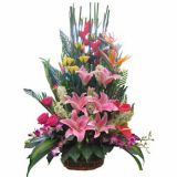 ʻٵ