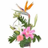 ʻٵ