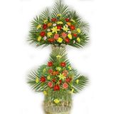 ʻٵ