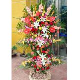 ʻԤ