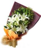 ʻٵ
