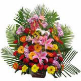 ʻٵ