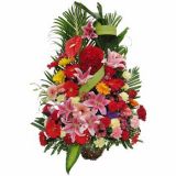 ʻٵ