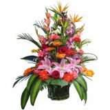 ʻٵ