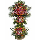 ʻٵ