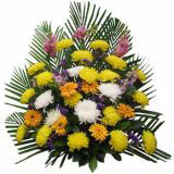 ʻԤ