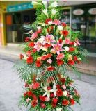 ҵ